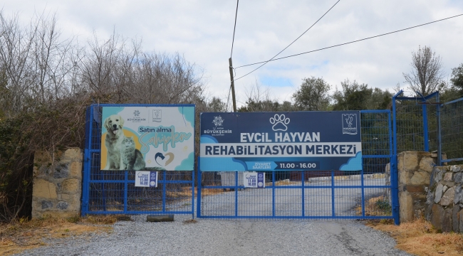EVCİL HAYVAN REHABİLİTASYON MERKEZİMİZ 10 GÜN İÇİNDE YENİDEN ZİYARETE AÇILACAK