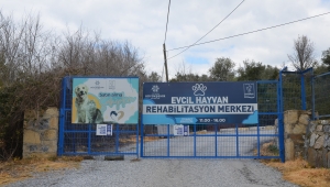 EVCİL HAYVAN REHABİLİTASYON MERKEZİMİZ 10 GÜN İÇİNDE YENİDEN ZİYARETE AÇILACAK