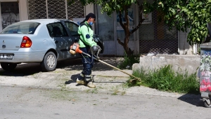 Narlıdere'nin parklarına bahar bakımı!