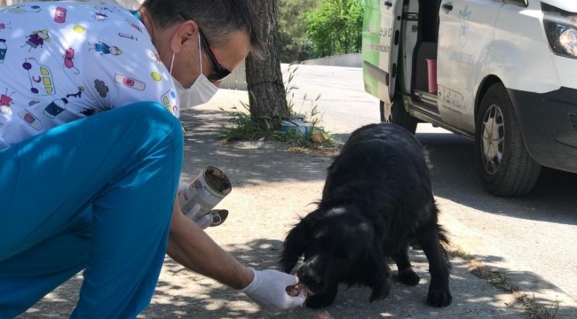 Konak Belediyesi kapanma sürecinde 'Can Dostların' yanında