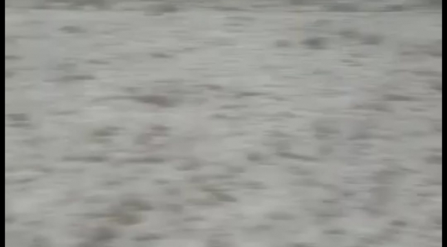 Ardahan'da etkili olan dolu kara yolunu beyaza bürüdü