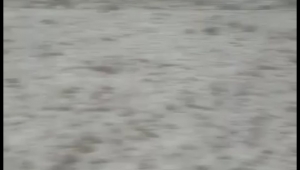 Ardahan'da etkili olan dolu kara yolunu beyaza bürüdü