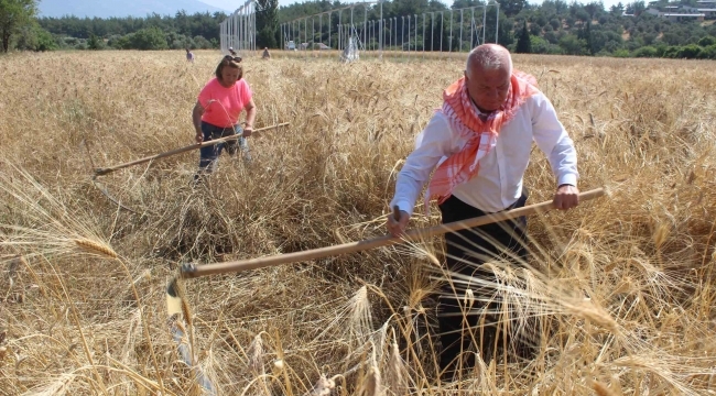 Atalık Karakılçık Kemalpaşa'da Can Buldu