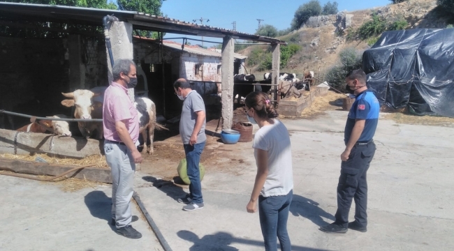 Bergama'da kurban kesim yerleri denetlendi