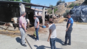 Bergama'da kurban kesim yerleri denetlendi