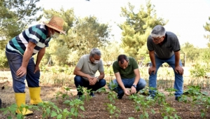 Bornovalı çiftçiye yerinde destek sürüyor