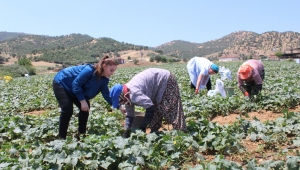 Büyükşehir'den Kiraz'daki kadınlara eğitim