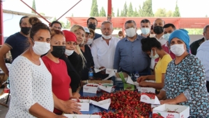CHP'den Kemalpaşa çıkarması 