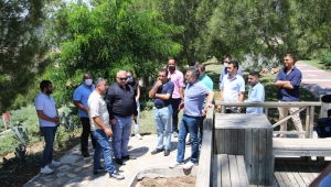 Başkan Sandal Bayraklı'yı Karış Karış Geziyor