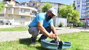 Bornova’da can dostlar susuz kalmıyor