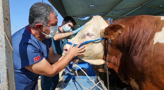 Bornova'da Kurban satış yerleri hazır