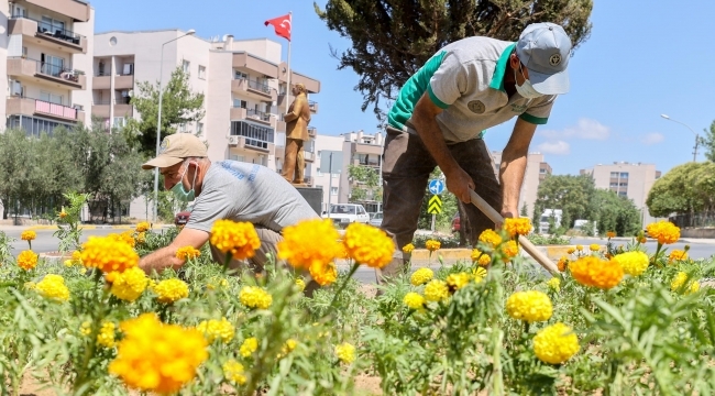 Buca'nın parklarına 3 ayda 60 bin çiçek 600 ağaç