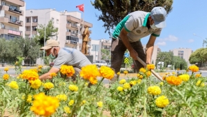 Buca'nın parklarına 3 ayda 60 bin çiçek 600 ağaç