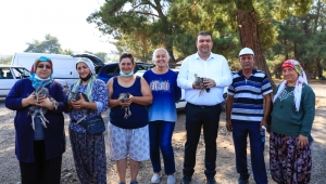 Hindi belediyeden üretip kazanmak çiftçiden