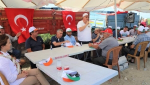 KINIK DOMATESİ MARKA OLUYOR