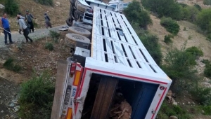 Tır şarampole devrildi: 160 küçükbaş telef oldu