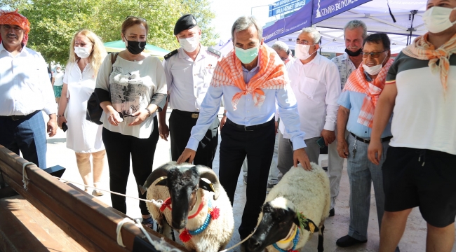 2600 yıllık gelenek; Urla Bağbozumu Etkinlikleri