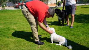 Çeşme’de köpeklere özel ‘Pati Park’