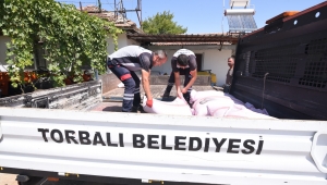 Hasat vakti mahsulü yanan üreticiye Torbalı Belediyesi’nden tohum desteği
