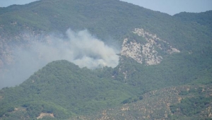 Kazdağları'nda iki ayrı noktada orman yangını