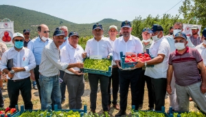Menemen’de Tarla Günü etkinliği