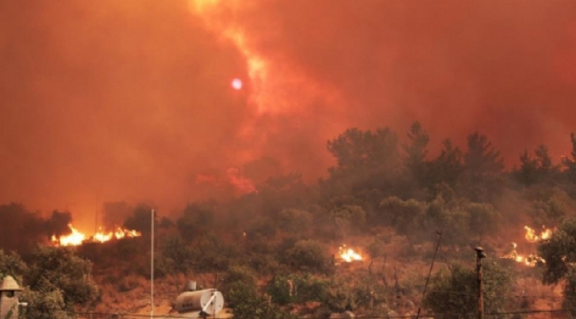 Muğla alevlerle boğuşuyor