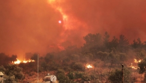Muğla alevlerle boğuşuyor