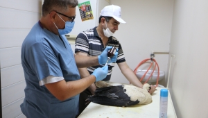 Sadık Doğruer:“Sadece insanların değil, kurdun, kuşun da başkanıyız”