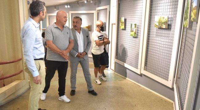 Sanatçının dostu Bornova