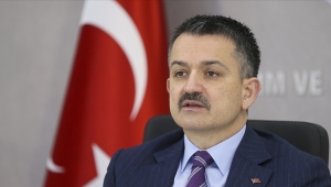 Bakan Pakdemirli duyurdu: Büyük yangınların hepsini söndürdük
