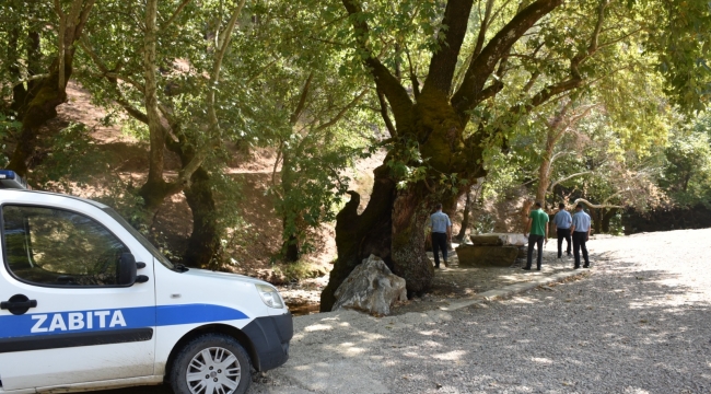 Torbalı’da zabıta ormanlar için teyakkuzda