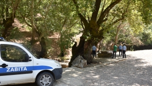 Torbalı’da zabıta ormanlar için teyakkuzda