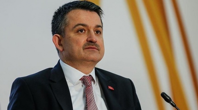 Yangınlardan zarar gören üreticilere ödeme yapılacak