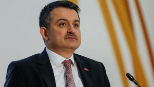 Yangınlardan zarar gören üreticilere ödeme yapılacak