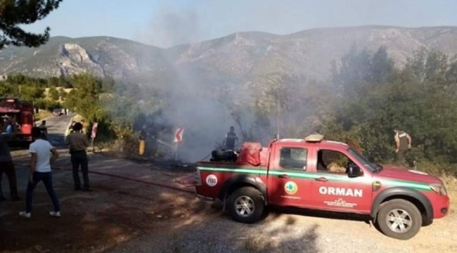 Yoldan çıkan kamyon ormanı yakacaktı