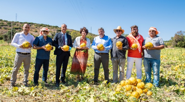 Çeşme kavunu tescillendi