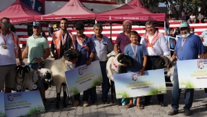 Ovacık festivalle şenlendi