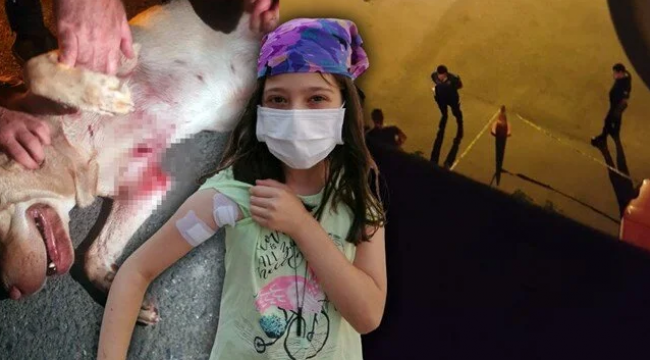 Pendik'te köpeğe mermi yağdırdı, seken mermi 10 yaşındaki çocuğa isabet etti