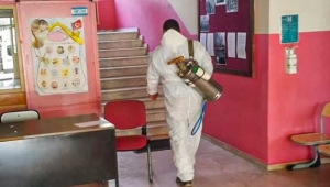 Seferihisar'da ilaçlama seferberliği; İlaçlanmayan okul kalmadı!