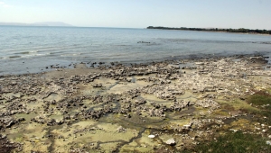Van Gölü’nde kuraklık tehlikesi: Çekilme 1 kilometreyi aştı