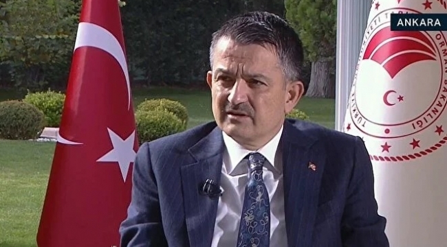 Bakan Pakdemirli: Tüketicilerimizin ıspanakla ilgili şüphesi olmasın