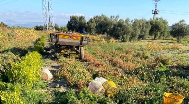 Traktörün altında kalan kadın hayatını kaybetti