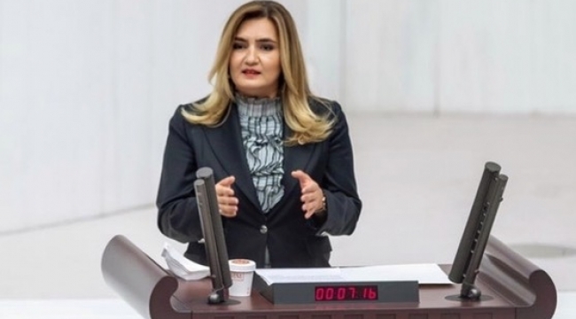 CHP İzmir Milletvekili Av. Sevda Erdan Kılıç: 
