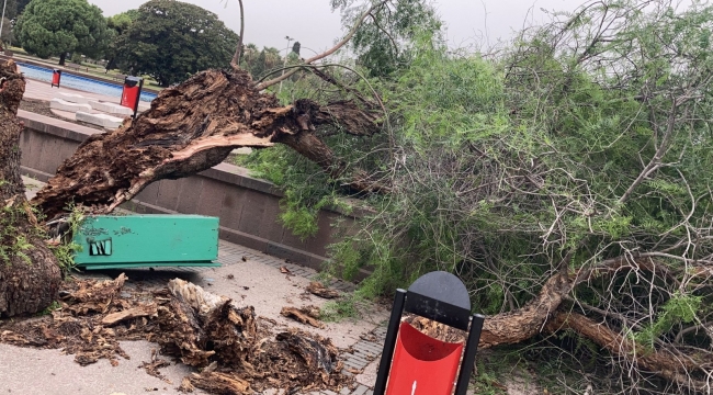 İzmir’de fırtına raporu