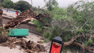 İzmir’de fırtına raporu
