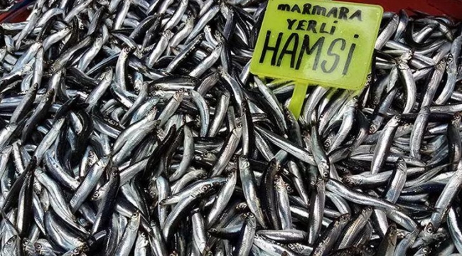 Balık fiyatları yükselişe geçti! Hamsinin kasası 600 lira