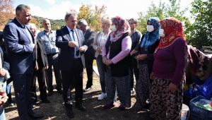 Bornova'da Zeytin Yetiştirme Teknikleri eğitimi