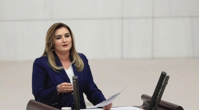 CHP'li Sevda Erdan Kılıç: 