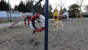 Gaziemir’de köpeklere özel park açıldı