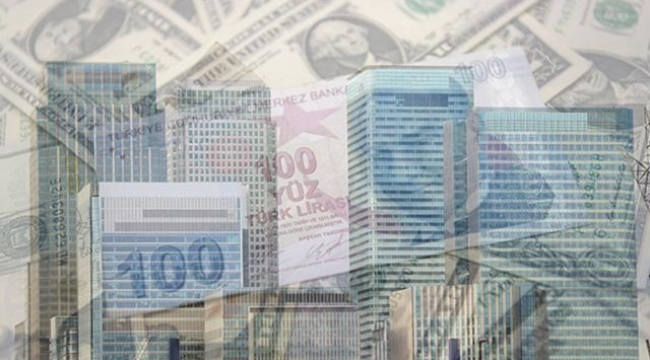 Merkez Bankası'ndan dövize müdahale